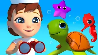 A Sailor Went to Sea Sea Sea - Children Nursery Rhyme with Fish Sea Horse Turtle and Pirate Sailor