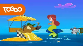 Zig und Sharko 🚖 Hallo Taxi! 🚖 Volledige aflevering in HD