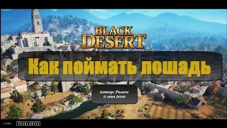 Как поймать лошадь в Black Desert