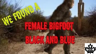EPISODE 590 WE FOUND A FEMALE BIGFOOT BLACK AND BLUE