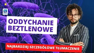 #23 Oddychanie beztlenowe - Metabolizm [Matura z biologii 2023 + studia] 👩‍⚕🧑‍⚕