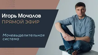 "Мочевыделительная система. Психосоматика." прямой эфир от 07.06.2020