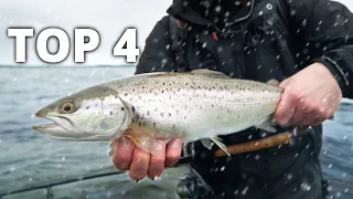 Our 4 Favourite Sea Trout Lures - Winter Fishing!