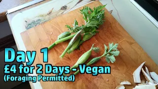 Limited Budget Challenge: 2 days, £4, Ambient Vegan, with Foraging - Day 1