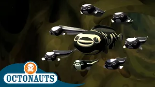 Octonauts - The Convict Fish | Cartoons for Kids | Underwater Sea Education