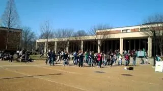 stlcc flashmob