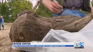 More mastodon bones discovered in Byron Township