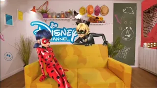 Ladybug and Cat noir Hosting Disney Channel