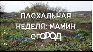 Пасхальная неделя: мамин огород