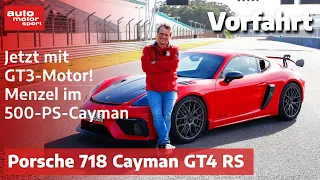 Porsche 718 Cayman GT4 RS: Noch extremer geht es nicht! (Fahrbericht / Review) auto motor und sport