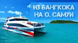 Почему в  Бангкоке сложно снять квартиру / Дорога из Бангкока на о. Самуи с котом.