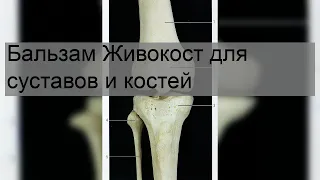 Бальзам Живокост для суставов и костей