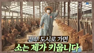 화려한 도시를 떠나 시골로 온 청년 🐮 소 키우기로 한 결정에 후횐 없다! | 병환 씨의 속 터지는 후계 수업 | KBS 인간극장 2022 방송