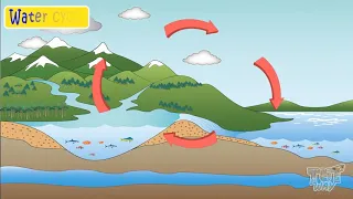 Parts of Water Cycle | Science | Grade-3,4 | Tutway |