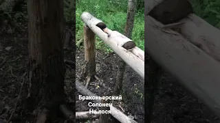 Нашел браконьерский Солонец