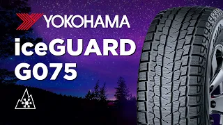 Зимние шины Yokohama IceGUARD Studless G075 обзор 2020/2021