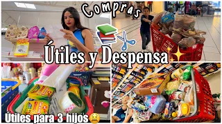 DESPENSA🛒+COMPRANDO ÚTILES✂️📚para 3 niños 😩💸#mamade3 #mamájoven