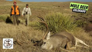 Epic Colorado Mule Deer