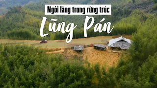 Ngỡ ngàng ngôi làng sống trong rừng trúc Lũng Pán, Bảo Lạc, Cao Bằng - Bamboo Forest Vietnam Travel