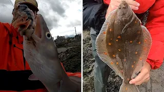 Shore Fishing for Plaice - Conger and Rays at Mostyn | North Wales | SEA FISHING UK