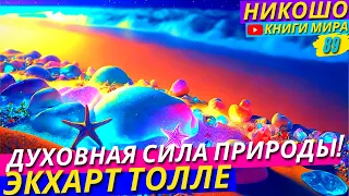 Как с Помощью Природы Получить Первый Духовный Опыт?! l НИКОШО и Экхарт Толле