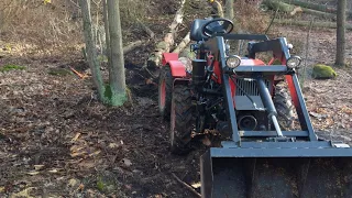 small orvex, tz4k14 tree removal, big hill, electric winch 4T, husarwinch