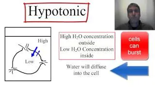 Osmosis- Isotonic, Hypotonic and Hypertonic
