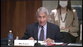 LIVE: Dr. Fauci testifies at Senate panel hearing on COVID-19