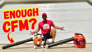 STIHL BG 86C VS. ECHO PB-2620 - Which Leaf Blower Is BEST?