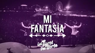 Los Tigres Del Norte, MI FANTASÍA