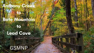 Anthony Creek to Bote Mtn to Lead Cove Trail