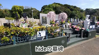 X JAPAN hideのお墓参りにきました