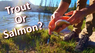 MOUNTAIN TROUT Fishing & Backpacking with my Girlfriend! (Catch, Cook, & Camp!)