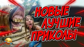 😂Я РЖАЛ ДО СЛЕЗ | ПРИКОЛЫ ЗА МАРТ | FUNNY MOMENTS 2023 | 13 МИНУТ СМЕХА! | #397