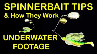 Spinnerbait Fishing Lure Tips and How to Fish Spinnerbaits (Underwater Footage)