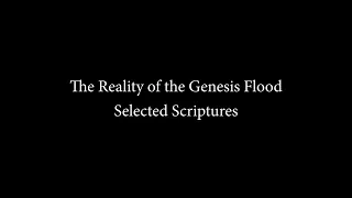 The Reality of the Genesis Flood (Dr. Andrew Snelling)