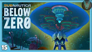 ОГРОМНАЯ МЕДУЗА, которая термальный сад / Эп. 15 / Subnautica: Below Zero