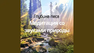 Звуки из лесной пещеры