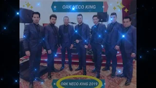 Ork Neco King New Oro 2019 Amerikansko Talava ★♫★  █▬█ █ ▀█▀