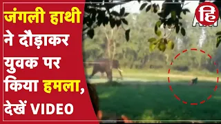 जब गांव में घुसा जंगली हाथी और लोगों को सूंड से पटकने लगा, VIDEO में देखें मंजर