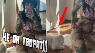 #ПРИКОЛЫ за ОКТЯБРЬ 2018 | BEST COUB 2018 ▶ 89