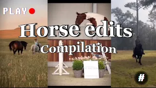 Horse edits | compilation!