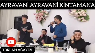 Yeni Trend Muzikalni! AYRAVANİ AYRAVANİ KİNTAMANA! ( Balaəli, Orxan, Ruslan, Rüfət) 2023 meyxana