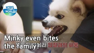 Minky even bites the family? (Dogs are incredible) | KBS WORLD TV 210609