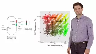 Synthetic Biology: Engineering bacteria with CRISPR - David Bikard