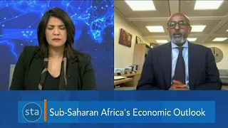 Benefits of Diversified African Economies & Sub-Saharan Africa's Economic Outlook