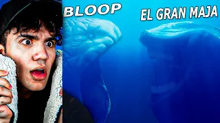 BLOOP vs EL GRAN MAJA! (Reação)