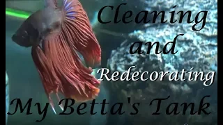 Cleaning and Redecorating my Betta's Tank!