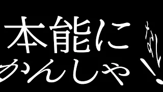 スコーピオンガールの貴重な捕食シーン　文字PV　【YMM4】