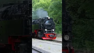 German Steam Locomotive in the Harz Mountains Narrow Gauge Railway #shorts